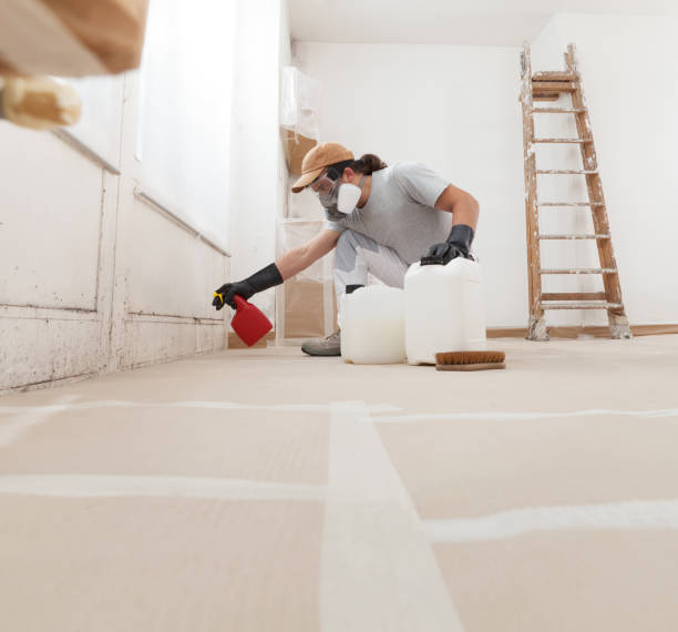 Reliable West Hills, NY Mold Removal Solutions